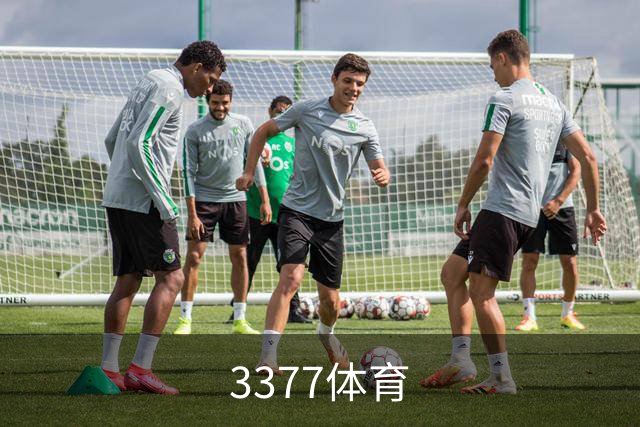 3377体育公司介绍